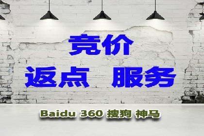 大型企业SEM外包实战案例
